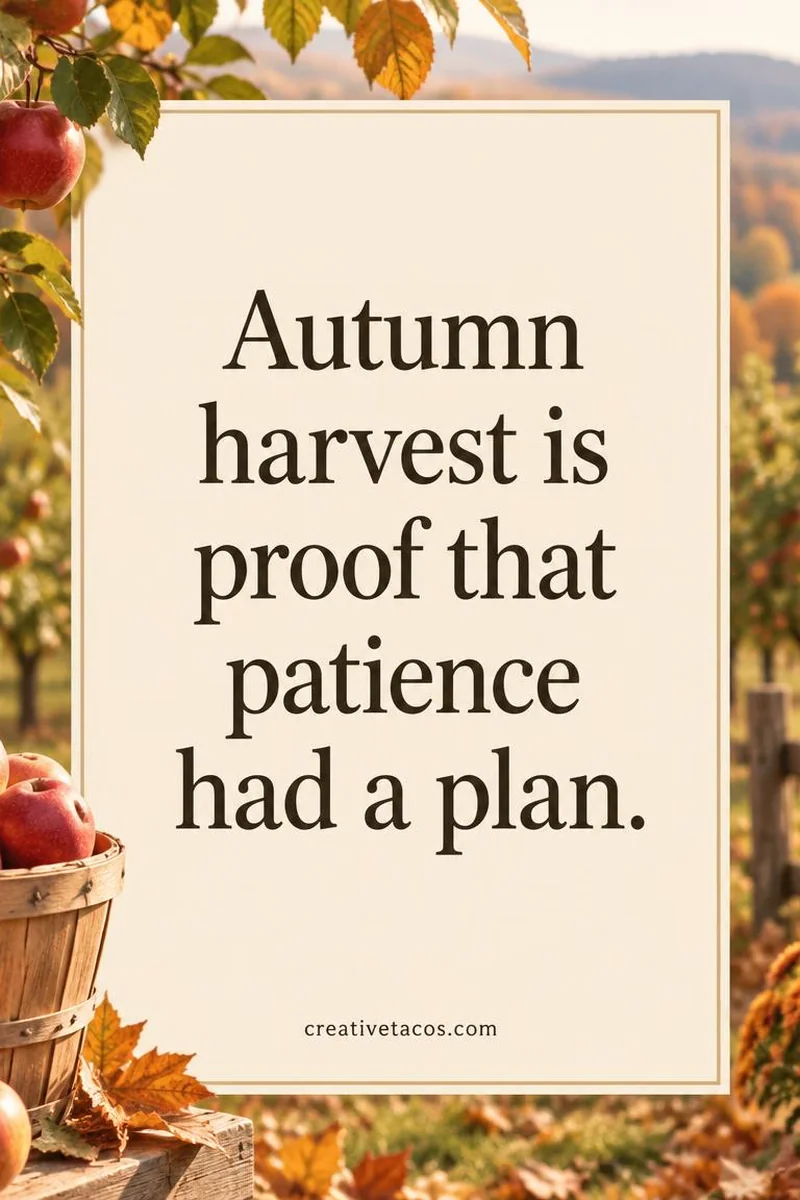 Quote card: Autumn harvest is proof that patience had a plan.