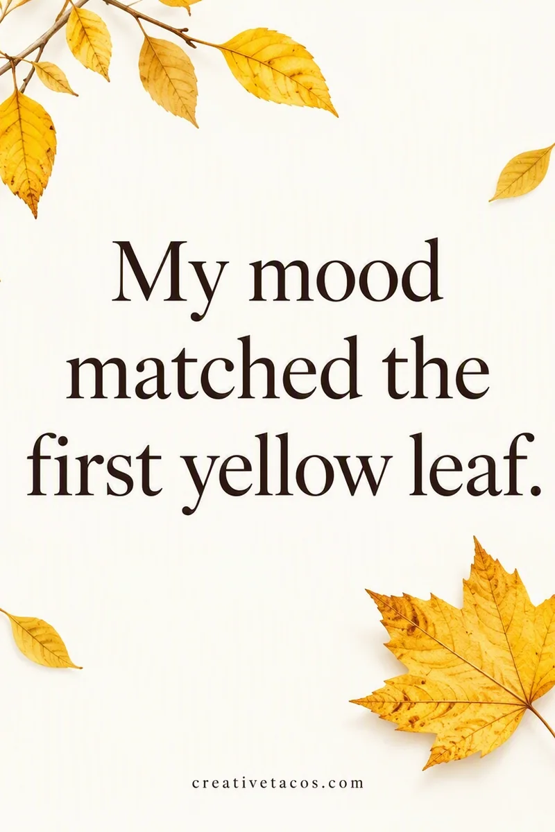Quote card: My mood matched the first yellow leaf.