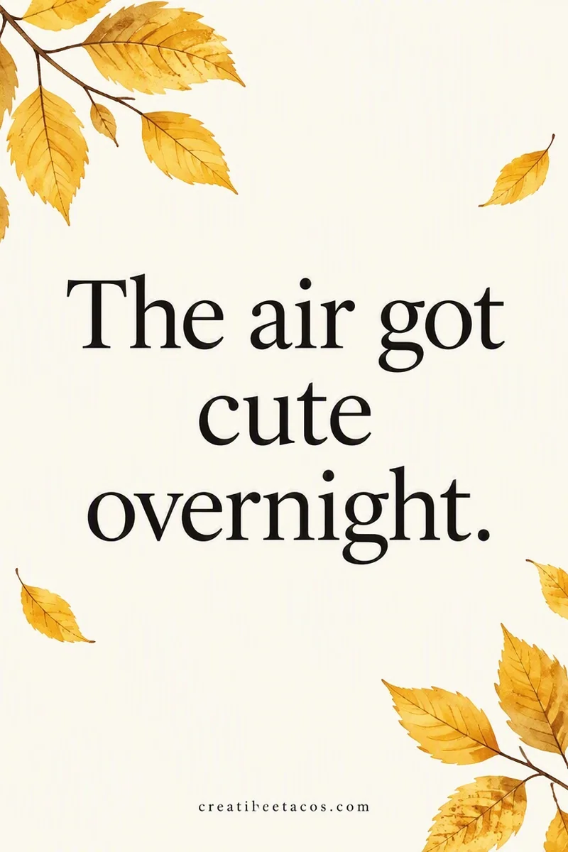 Quote card: The air got cute overnight.