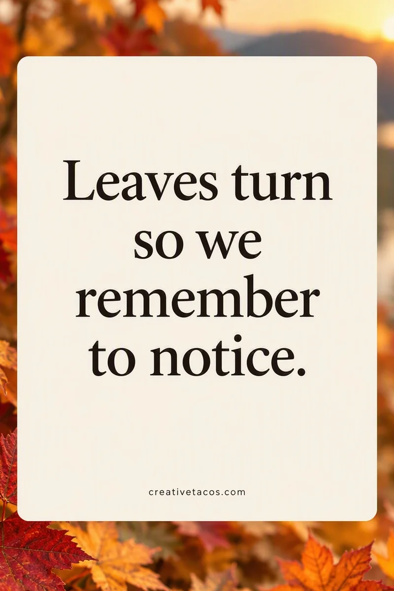 Quote card: Leaves turn so we remember to notice.