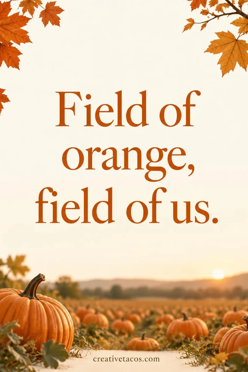 Quote card: Field of orange, field of us.