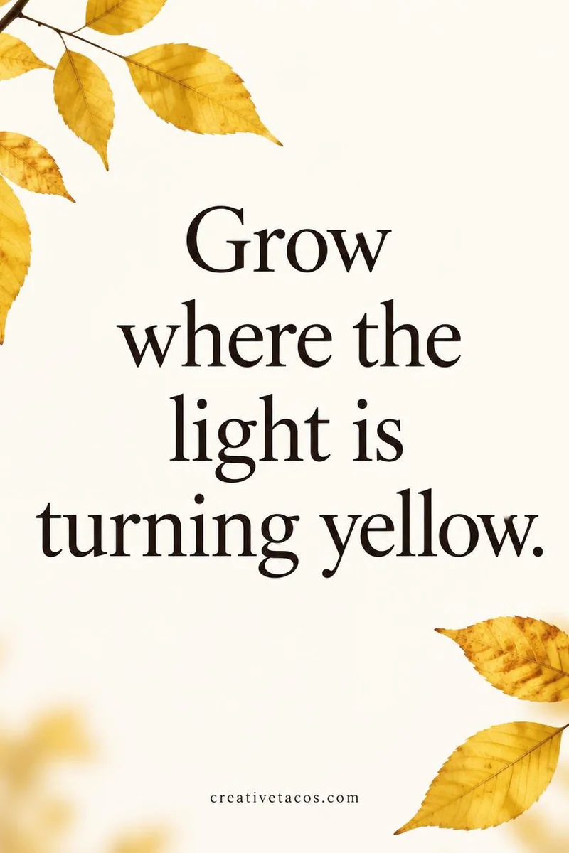 Quote card: Grow where the light is turning yellow.