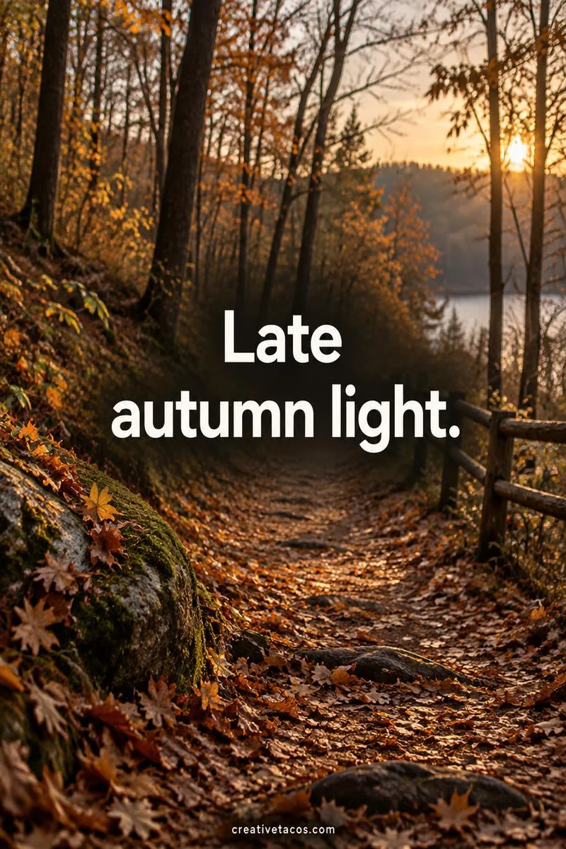 Quote card: Late autumn light.