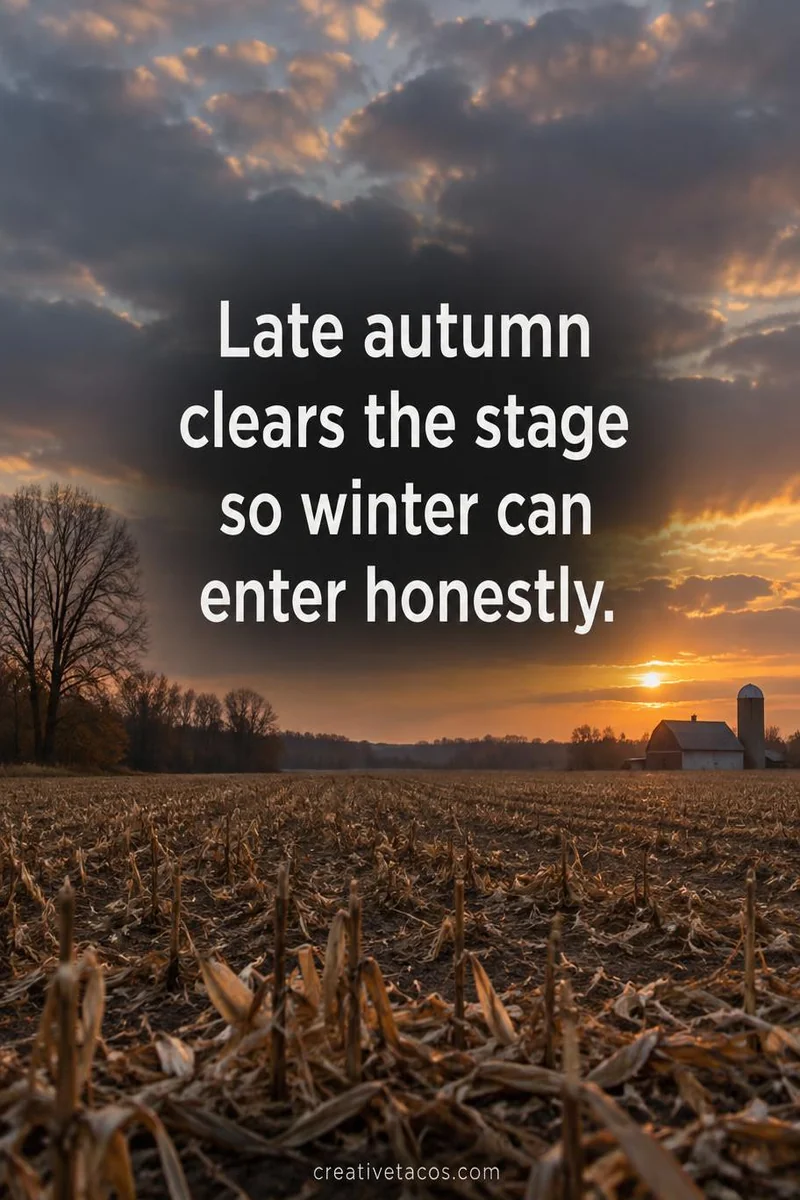 Quote card: Late autumn clears the stage so winter can enter honestly.