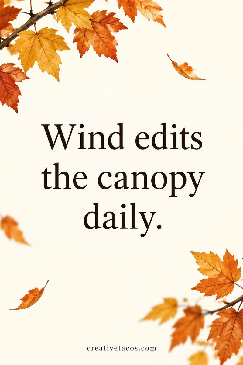 Quote card: Wind edits the canopy daily.