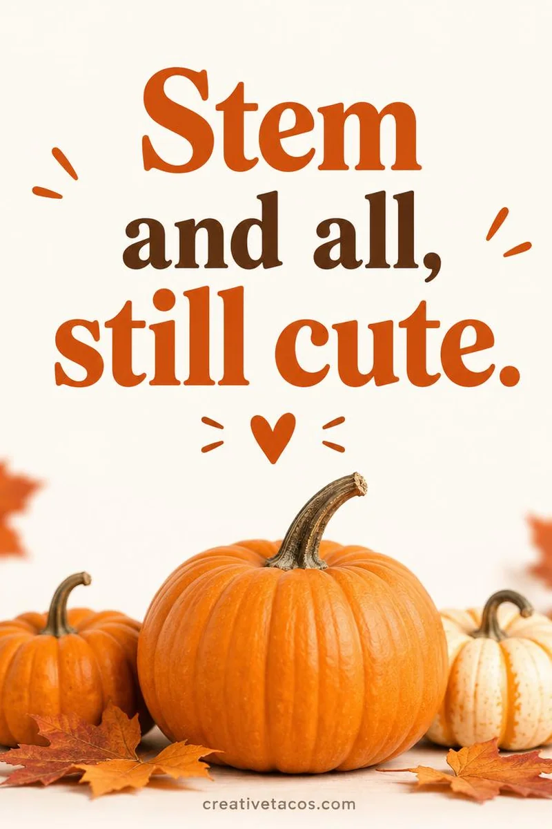 Quote card: Stem and all, still cute.