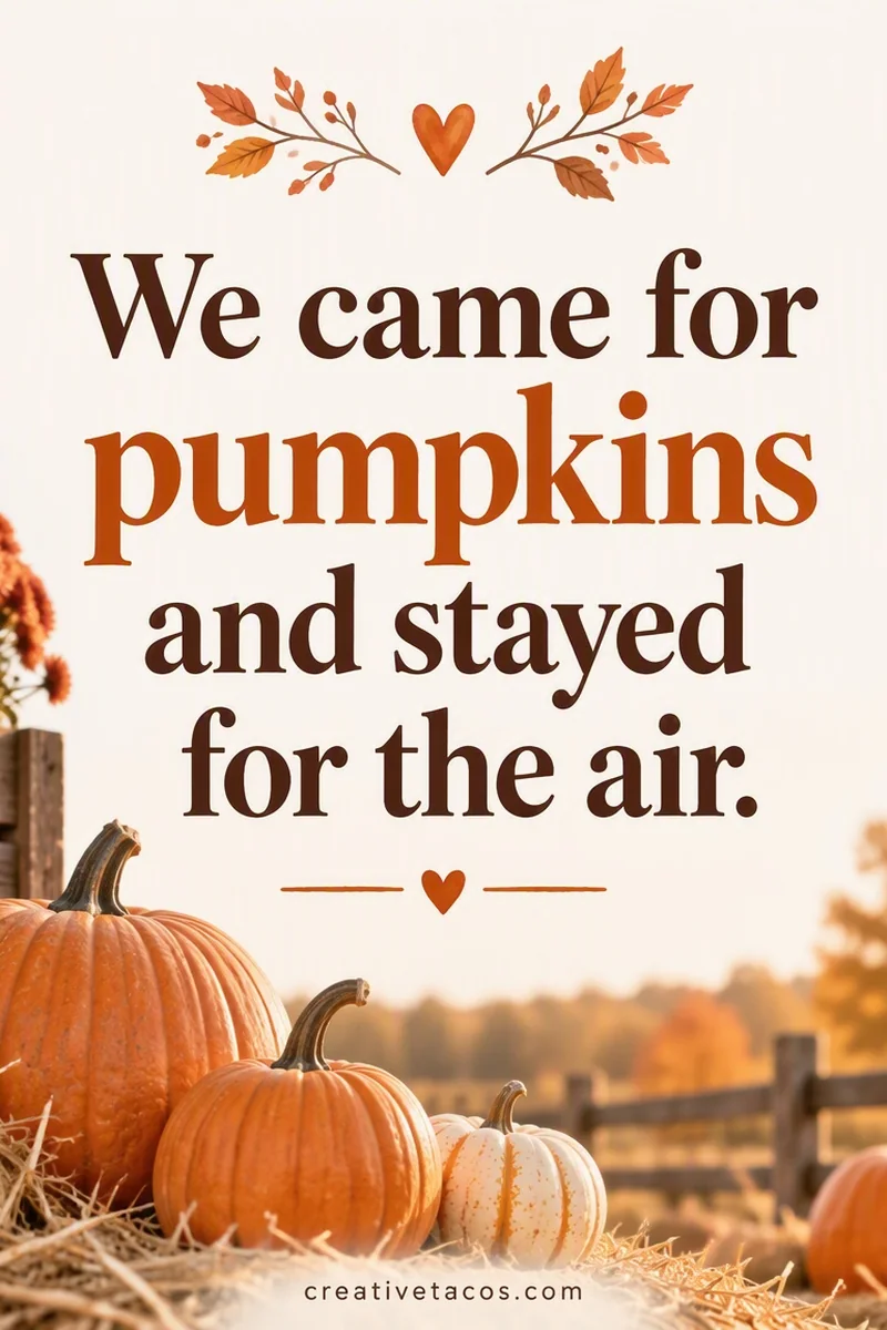 Quote card: We came for pumpkins and stayed for the air.
