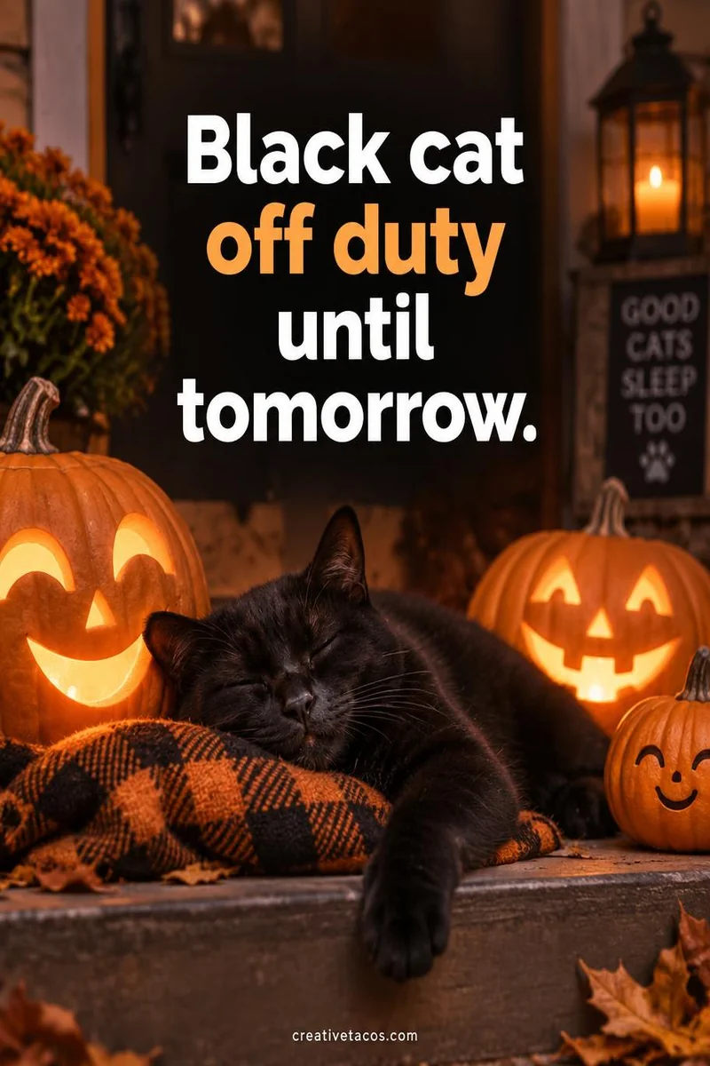 Quote card: Black cat off duty until tomorrow.