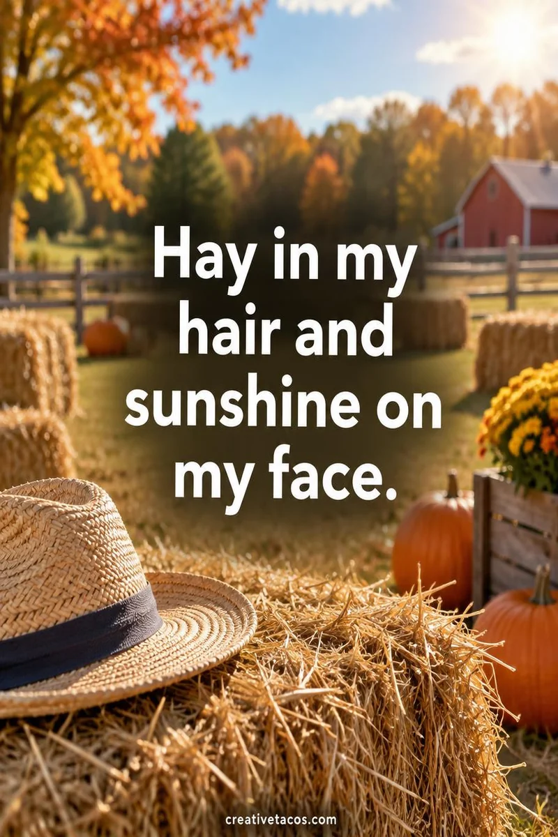 Quote card: Hay in my hair and sunshine on my face.