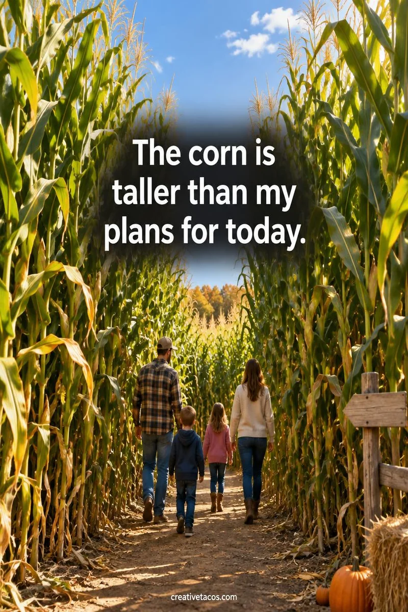 Quote card: The corn is taller than my plans for today.