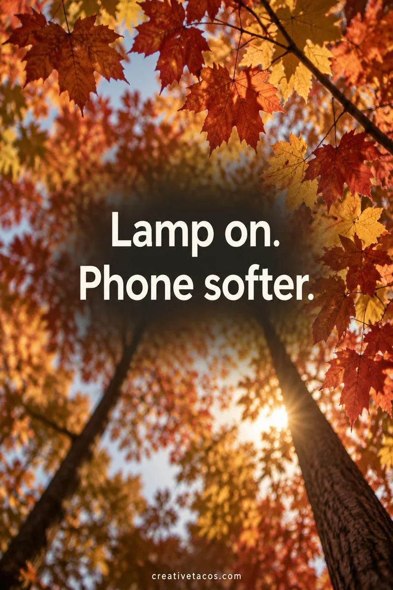 Quote card: Lamp on. Phone softer.