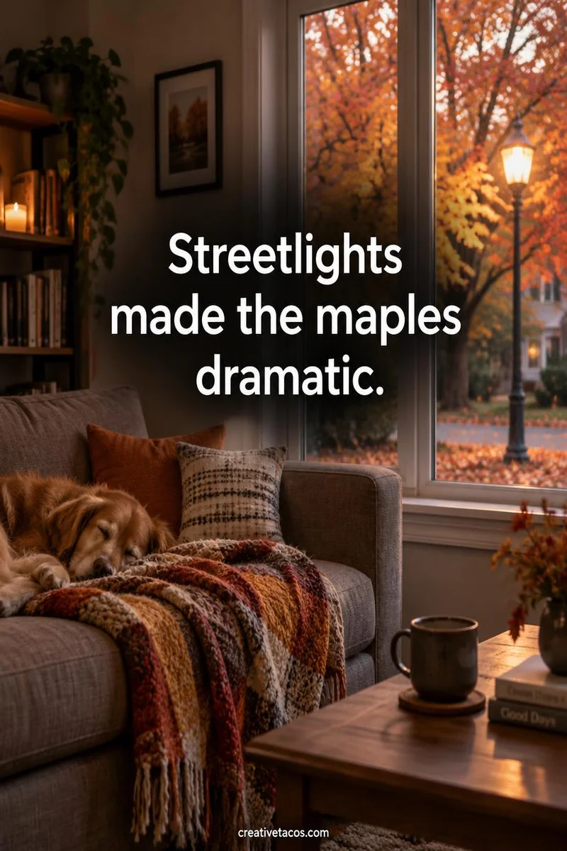Quote card: Streetlights made the maples dramatic.