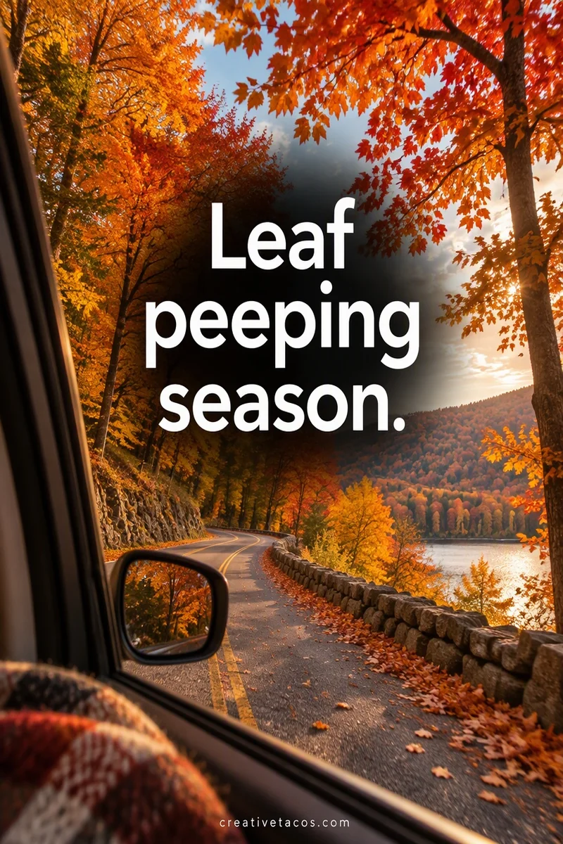 Quote card: Leaf peeping season.
