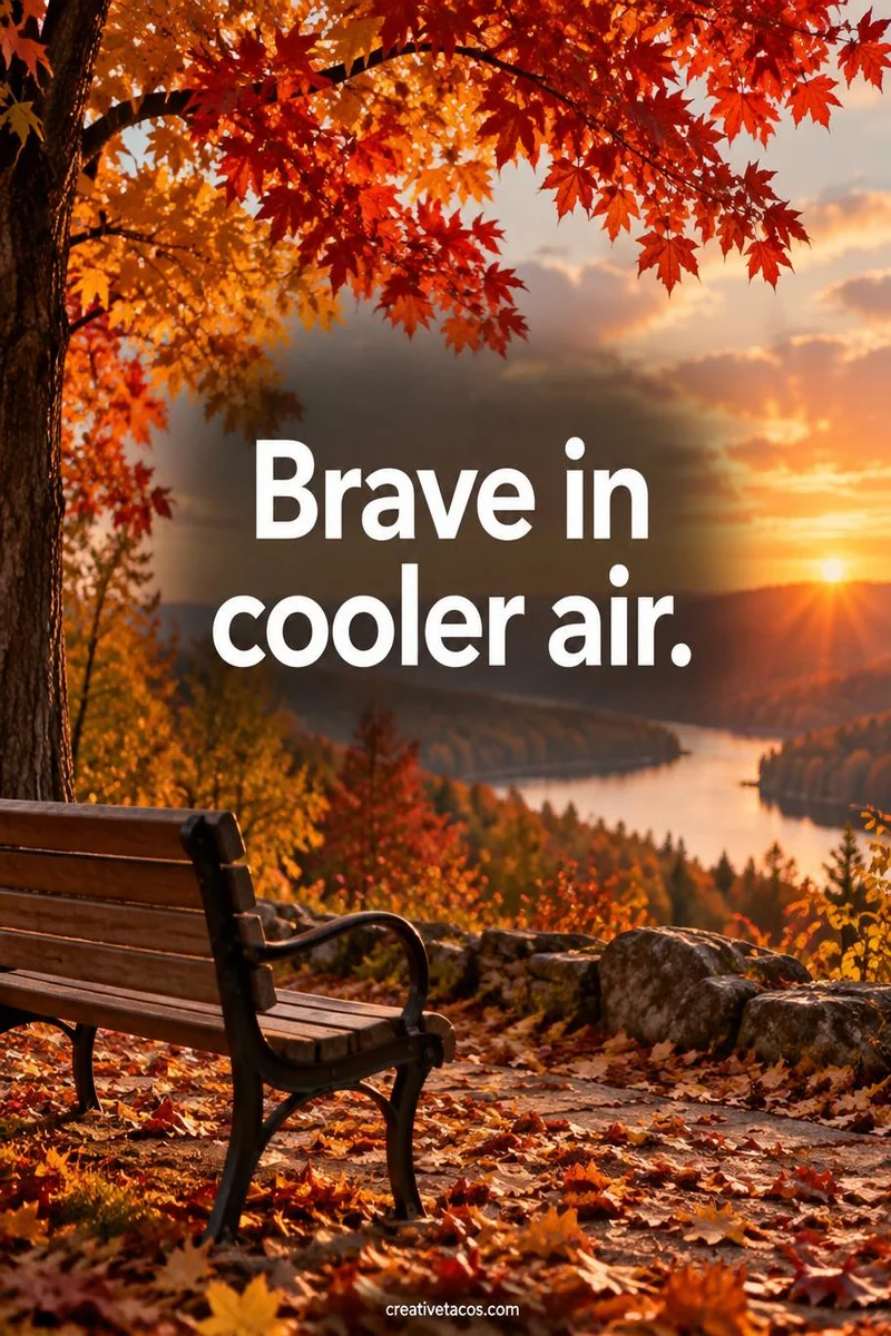 Quote card: Brave in cooler air.