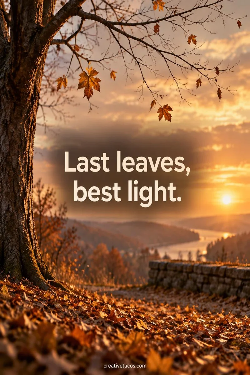 Quote card: Last leaves, best light.