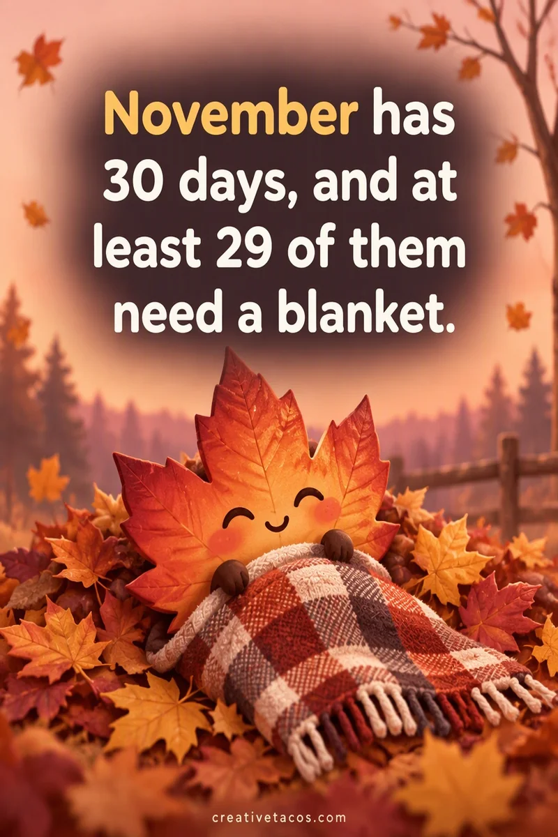 Quote card: November has 30 days, and at least 29 of them need a blanket.