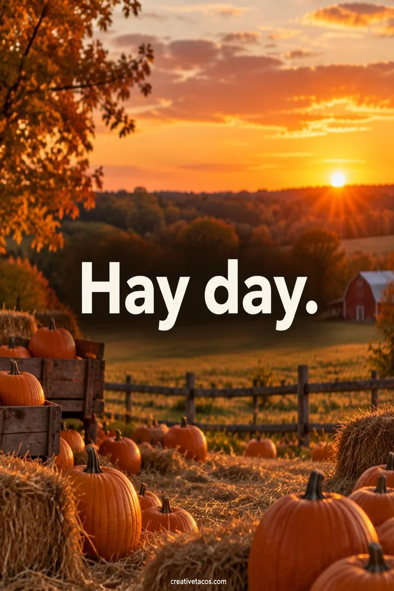 Quote card: Hay day.