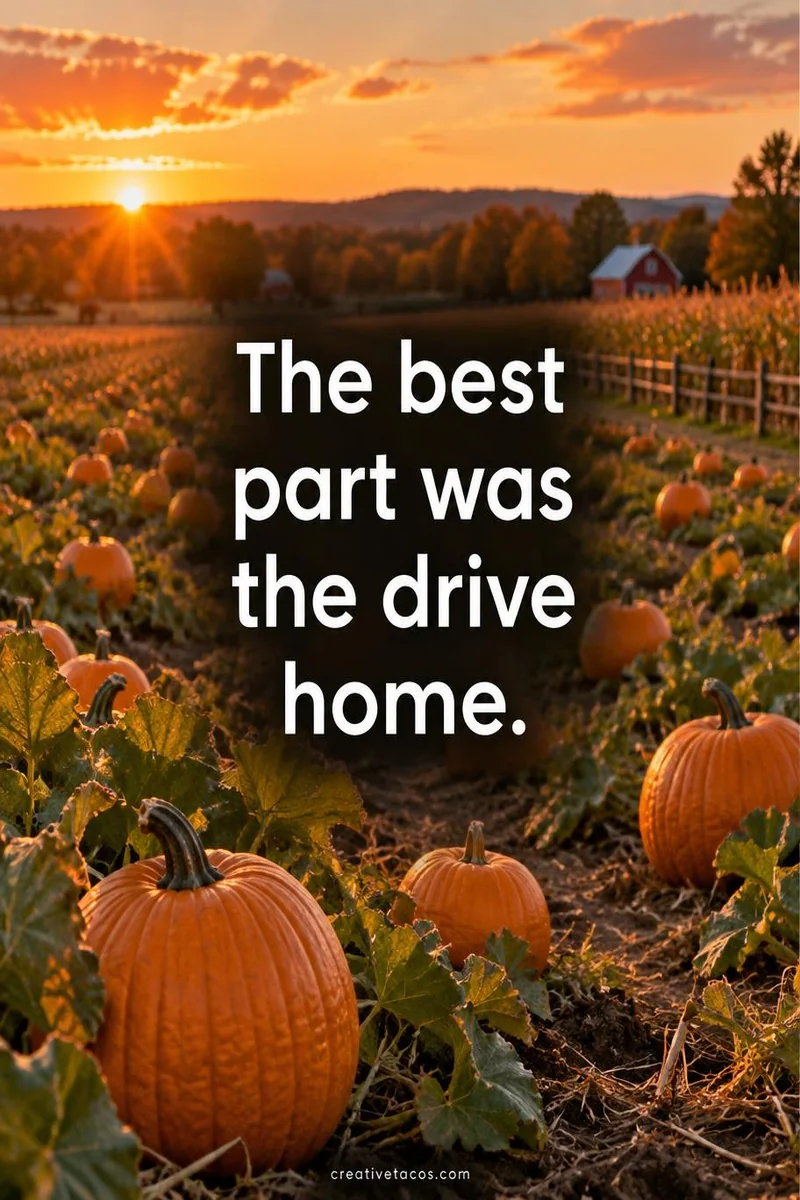 Quote card: The best part was the drive home.