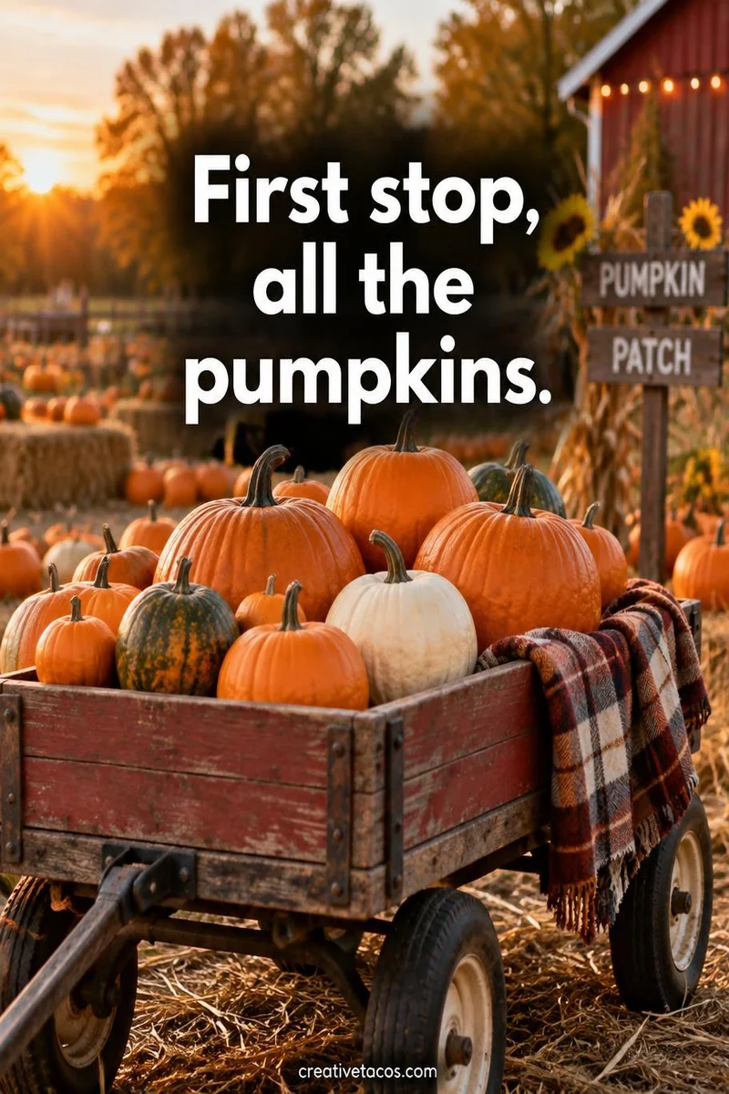 Quote card: First stop, all the pumpkins.