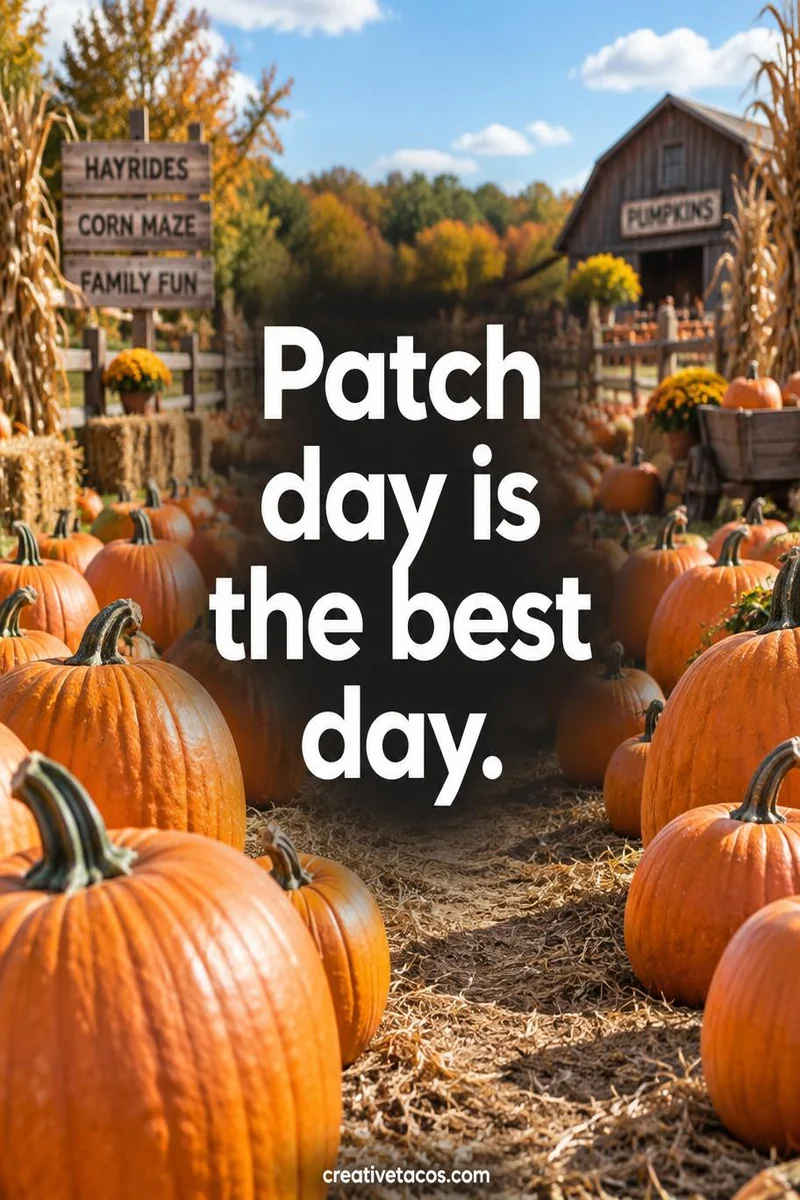 Quote card: Patch day is the best day.
