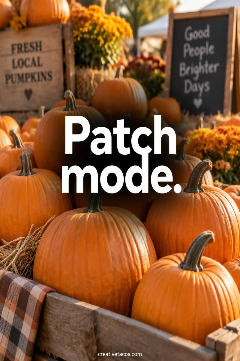 Quote card: Patch mode.
