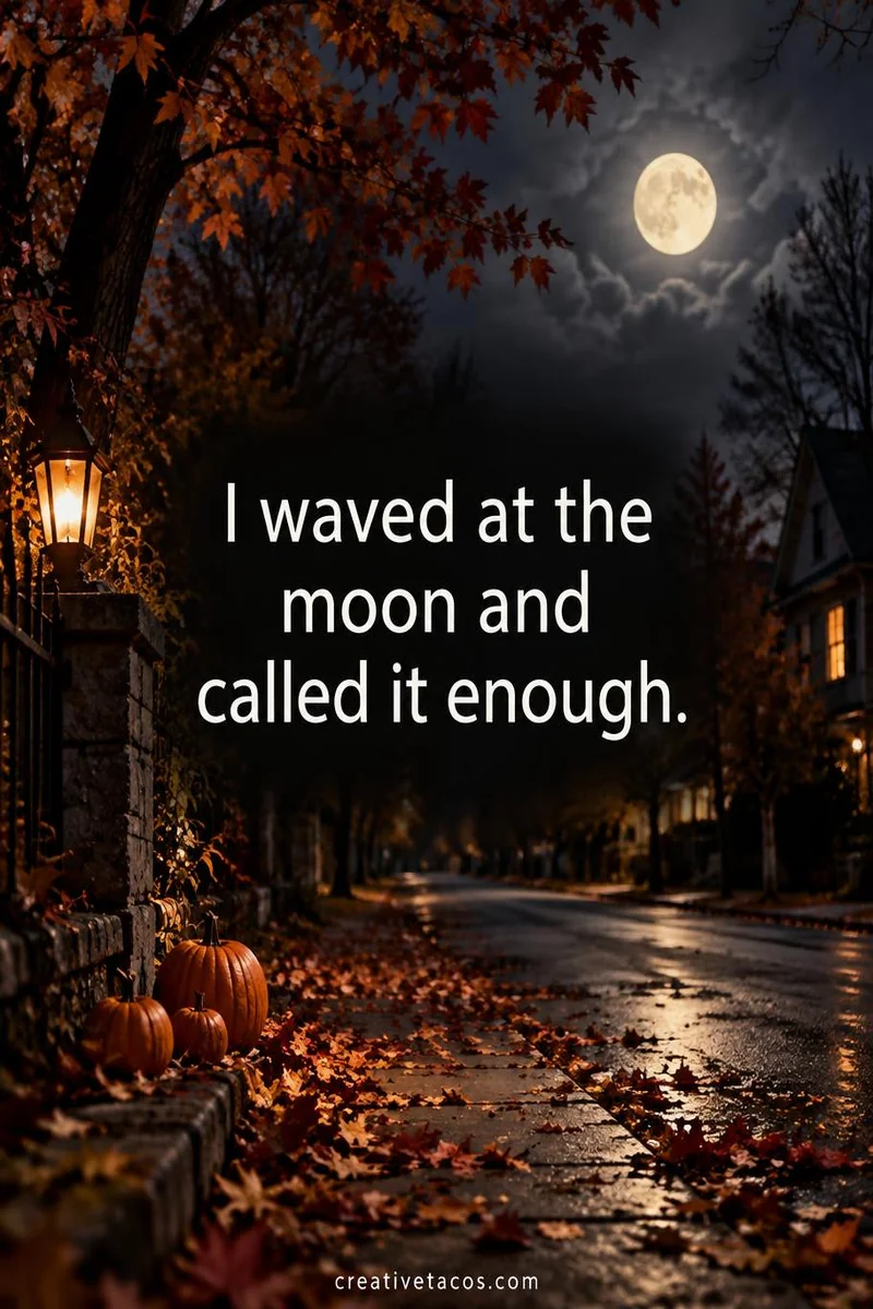 Quote card: I waved at the moon and called it enough.