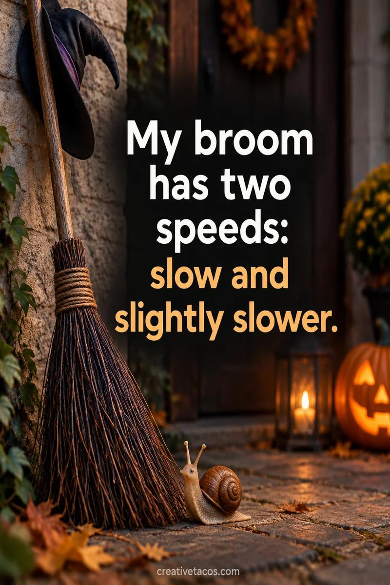 Quote card: My broom has two speeds: slow and slightly slower.